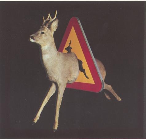 Varning för hjort - Charlottenborg Köpenhamn, 1981